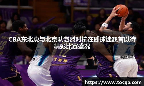 CBA东北虎与北京队激烈对抗在即球迷翘首以待精彩比赛盛况